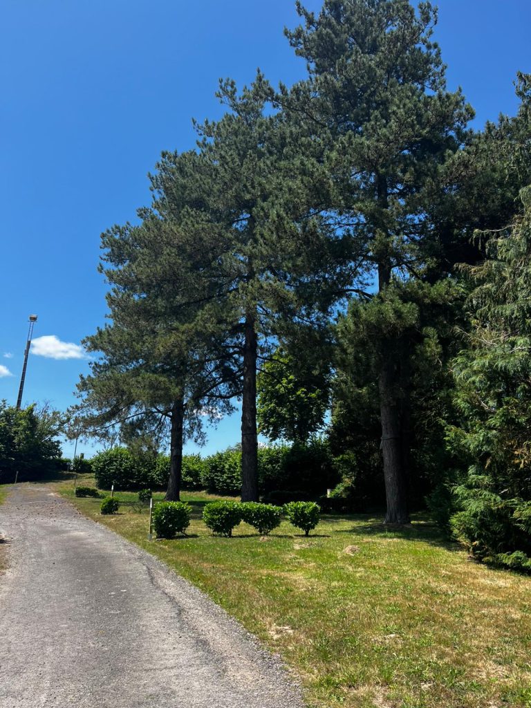 WhatsApp Image 2025-06-17 at 12.13.18(1)